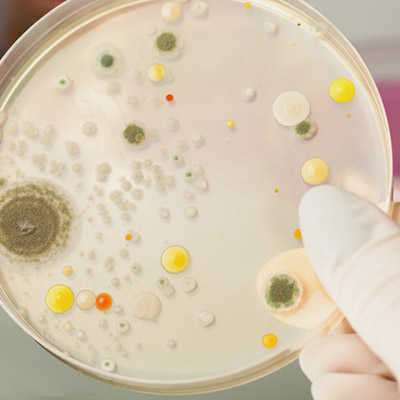 hygiene-luftbefeuchtung Erneuerung unserer Hygienezertifizierung